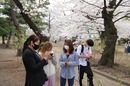 お花見